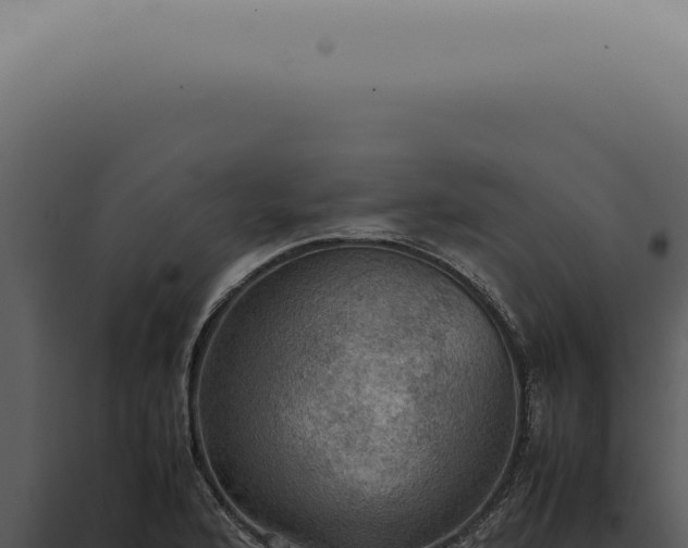 X0000098001176200804011825