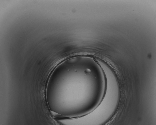 X0000098001177200804011825