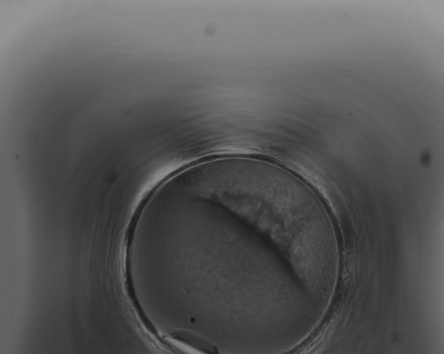 X0000098001179200804011825