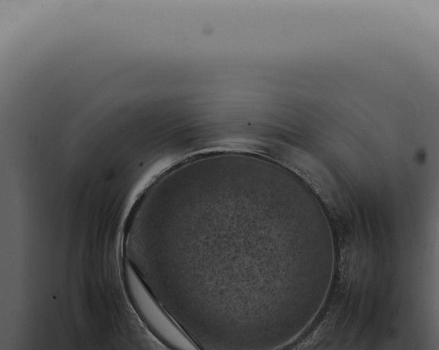 X0000098001180200804011825