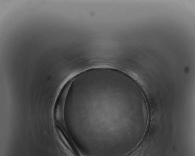 X0000098001181200804011825