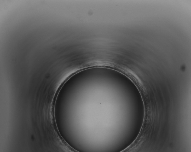 X0000098001182200804011825