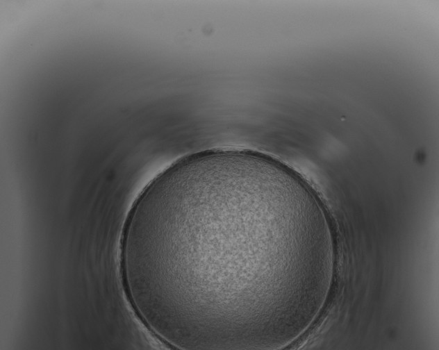 X0000098001183200804011825
