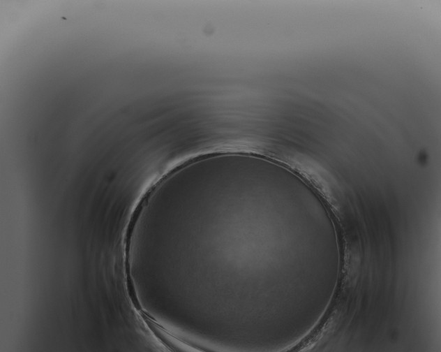X0000098001184200804011825