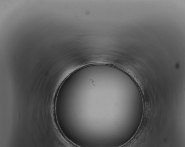 X0000098001187200804011825