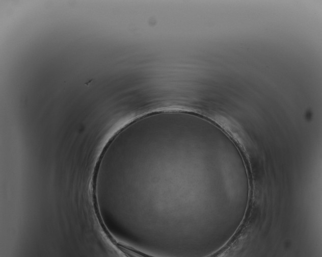 X0000098001189200804011825