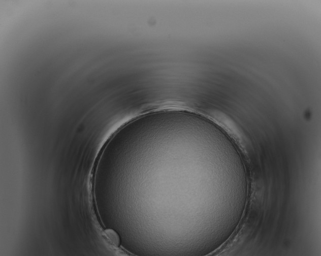 X0000098001190200804011825