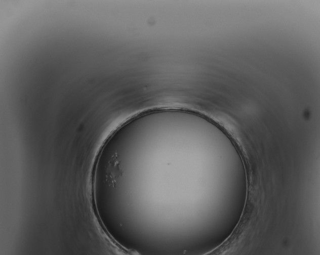 X0000098001191200804011825