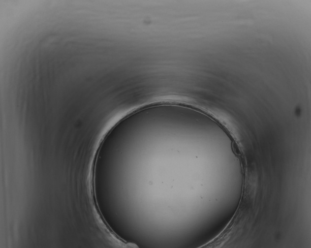 X0000098001199200804011825