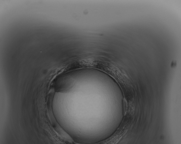 X0000098001201200804011824