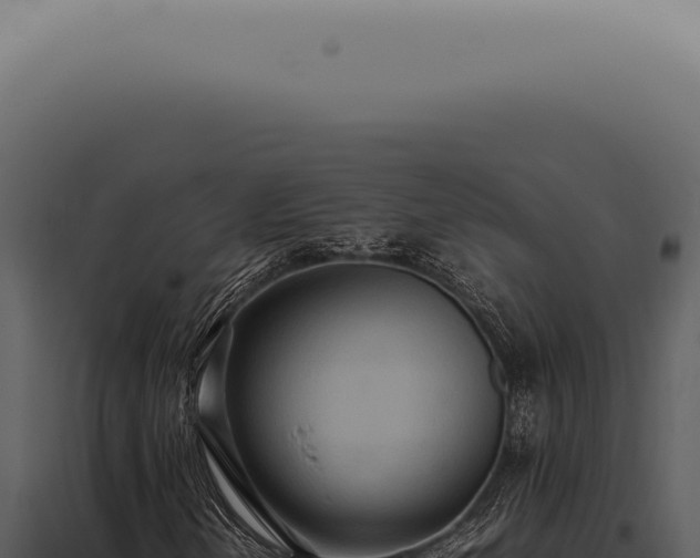 X0000098001202200804011824