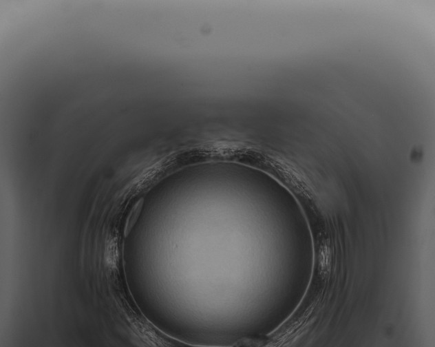X0000098001204200804011824