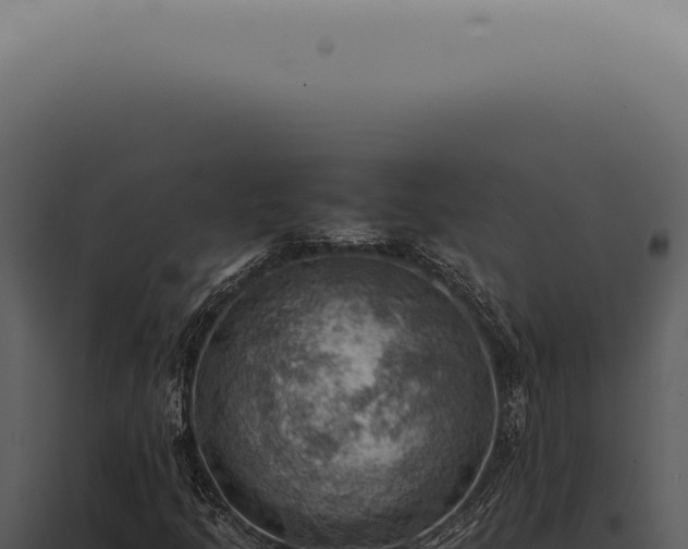X0000098001205200804011824