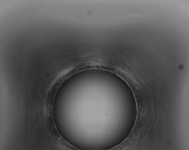 X0000098001207200804011824