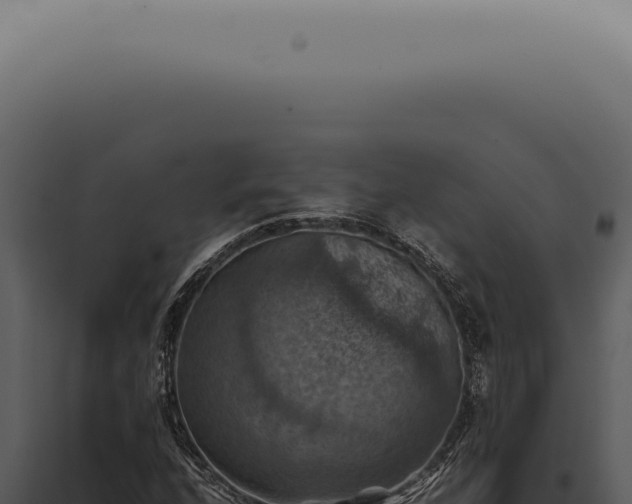 X0000098001208200804011825