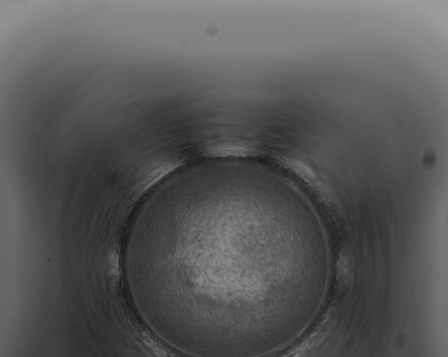 X0000098001209200804011825