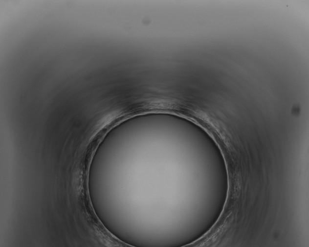 X0000098001211200804011825