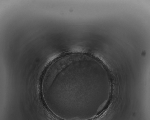 X0000098001213200804011825