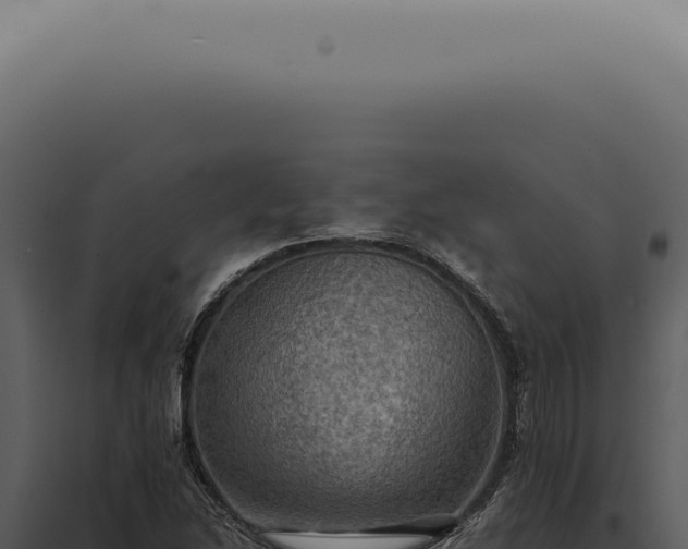 X0000098001214200804011825