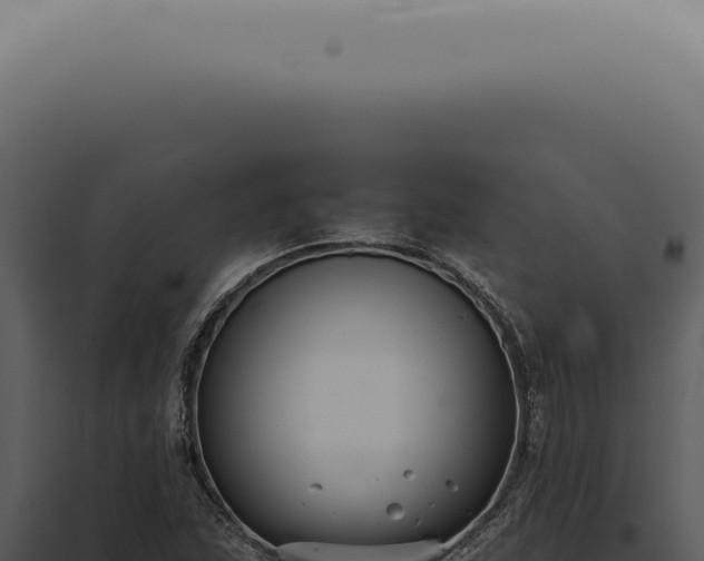 X0000098001215200804011825