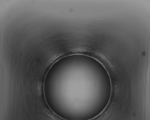 X0000098001217200804011825