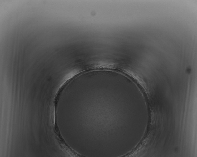 X0000098001219200804011825