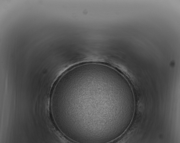 X0000098001220200804011825
