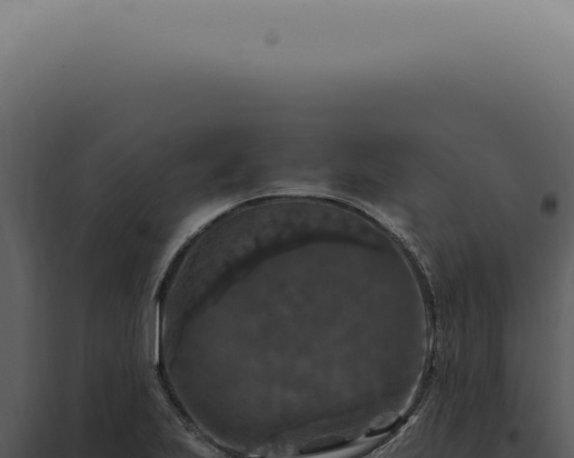 X0000098001223200804011825