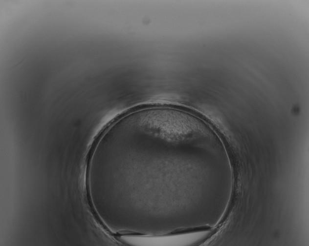 X0000098001224200804011825