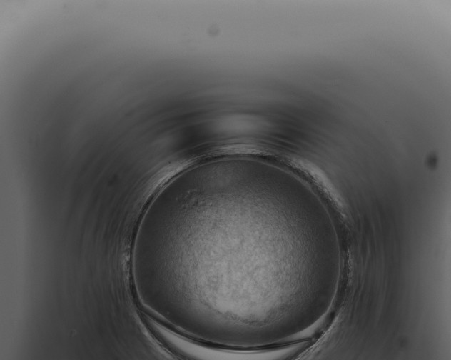 X0000098001225200804011825