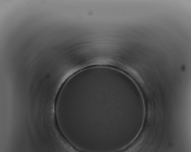 X0000098001226200804011825