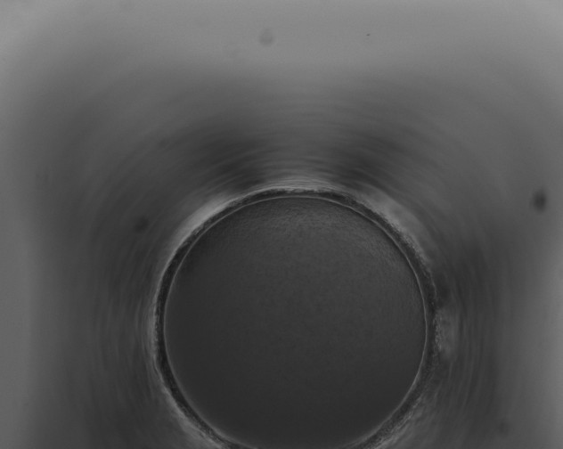 X0000098001229200804011825