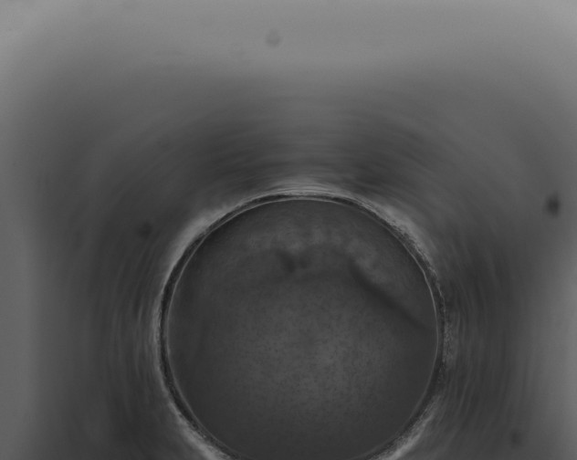X0000098001231200804011825