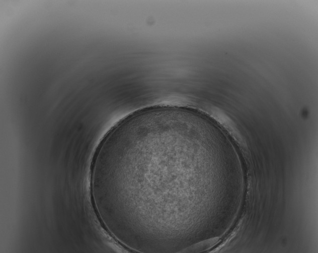 X0000098001232200804011825
