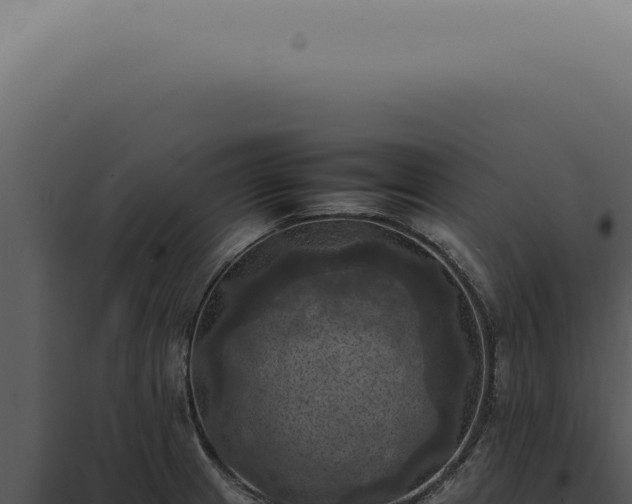 X0000098001233200804011825
