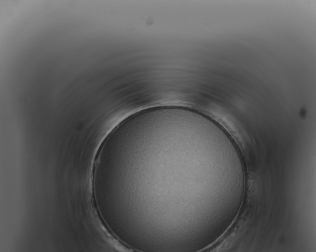 X0000098001236200804011825