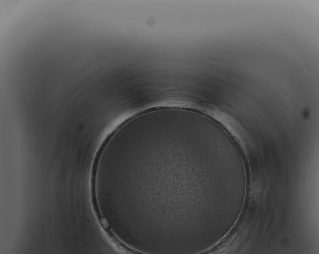 X0000098001237200804011825