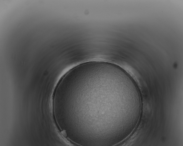 X0000098001238200804011825