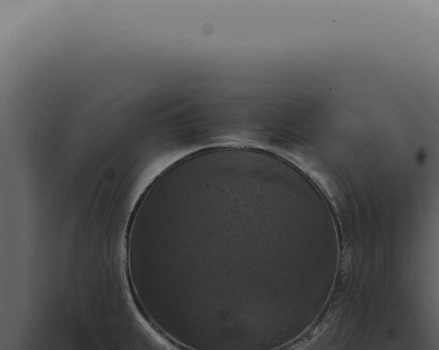 X0000098001239200804011825