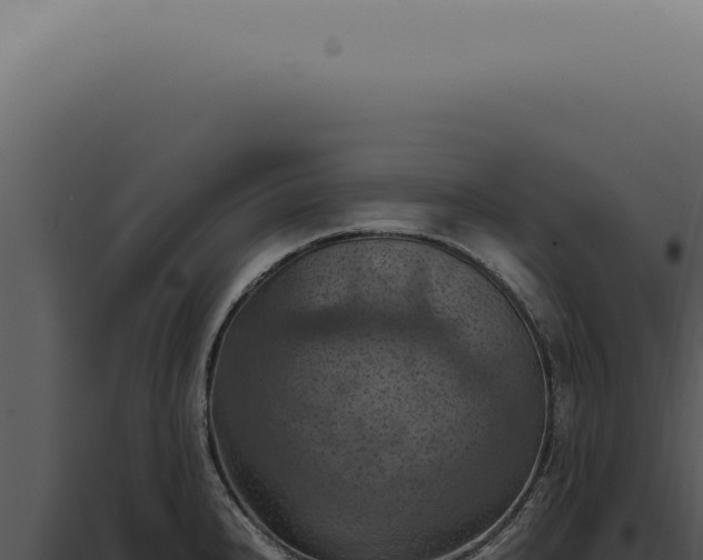 X0000098001240200804011825