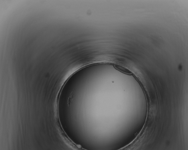 X0000098001242200804011825