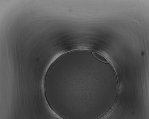 X0000098001243200804011825