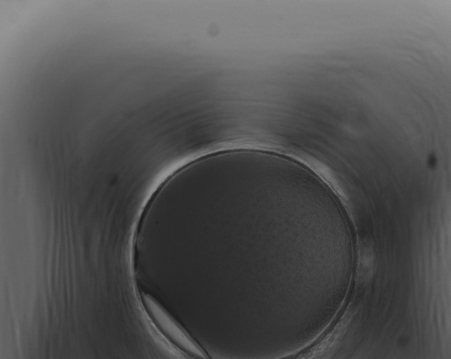 X0000098001246200804011825