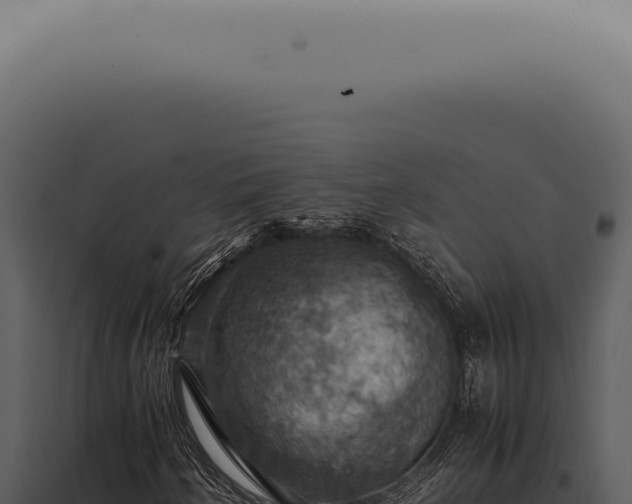 X0000098001250200804011824