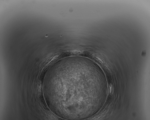 X0000098001251200804011824
