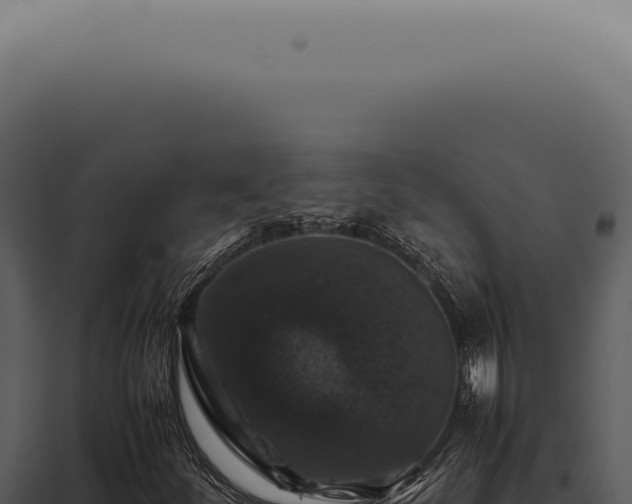 X0000098001252200804011824