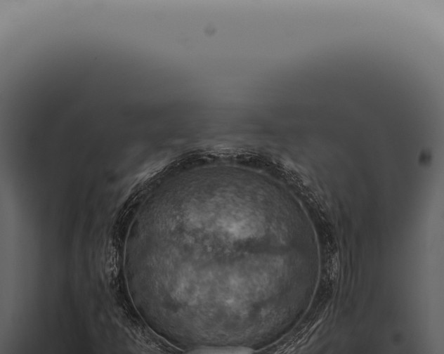 X0000098001253200804011824
