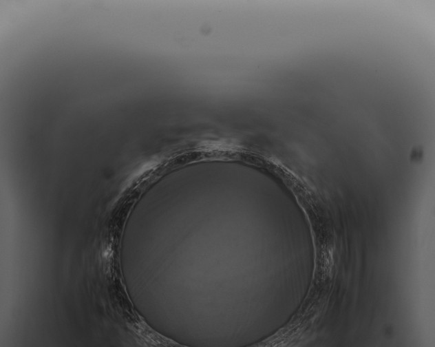 X0000098001254200804011824