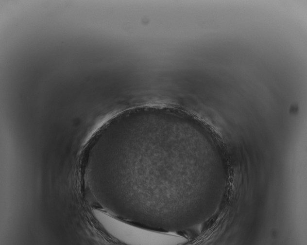X0000098001256200804011824