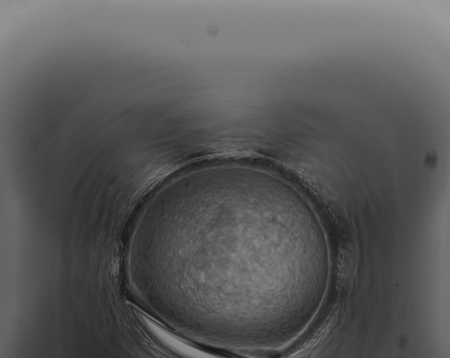 X0000098001257200804011824